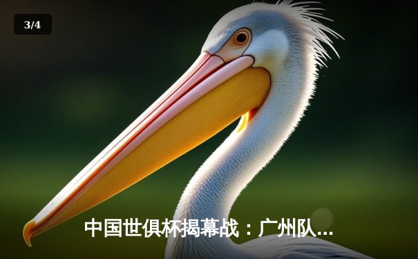 中国世俱杯揭幕战：广州队3-1逆转南美劲旅，新星闪耀天河体育场 - 3