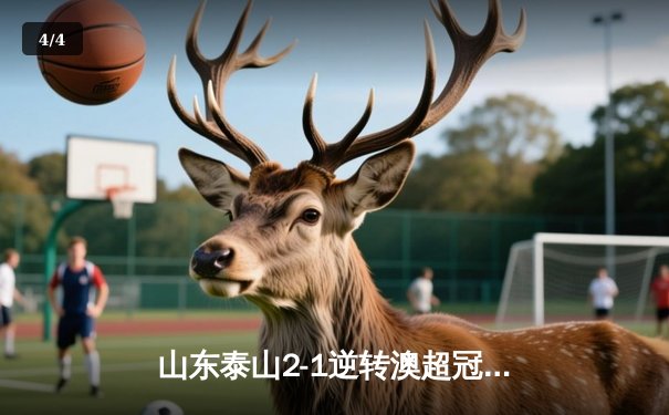 山东泰山2-1逆转澳超冠军 创中国俱乐部世俱杯最佳战绩 - 4